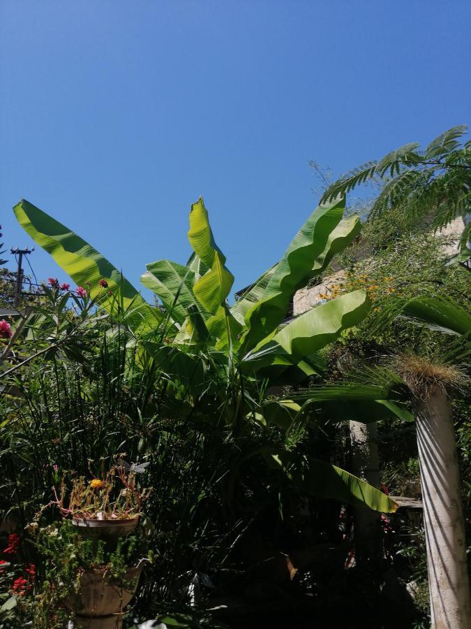 Magnoliia Ξενοδοχείο Σουχούμι Εξωτερικό φωτογραφία