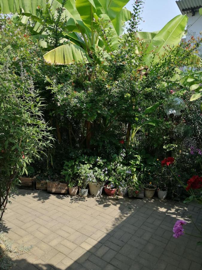 Magnoliia Ξενοδοχείο Σουχούμι Εξωτερικό φωτογραφία