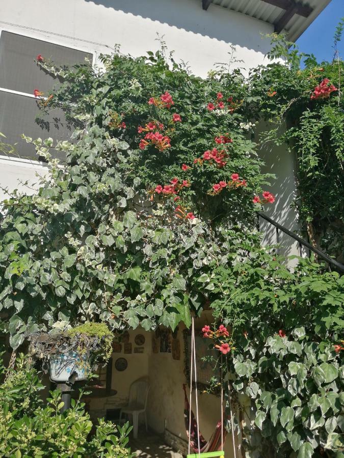 Magnoliia Ξενοδοχείο Σουχούμι Εξωτερικό φωτογραφία